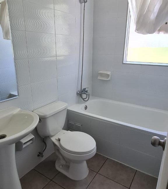 Imagen de WhatsApp 2024-03-01 a las 12.08.19_7be67a1a